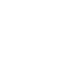icon of winners cup