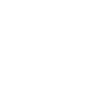 icon of winners cup icon of winners cup